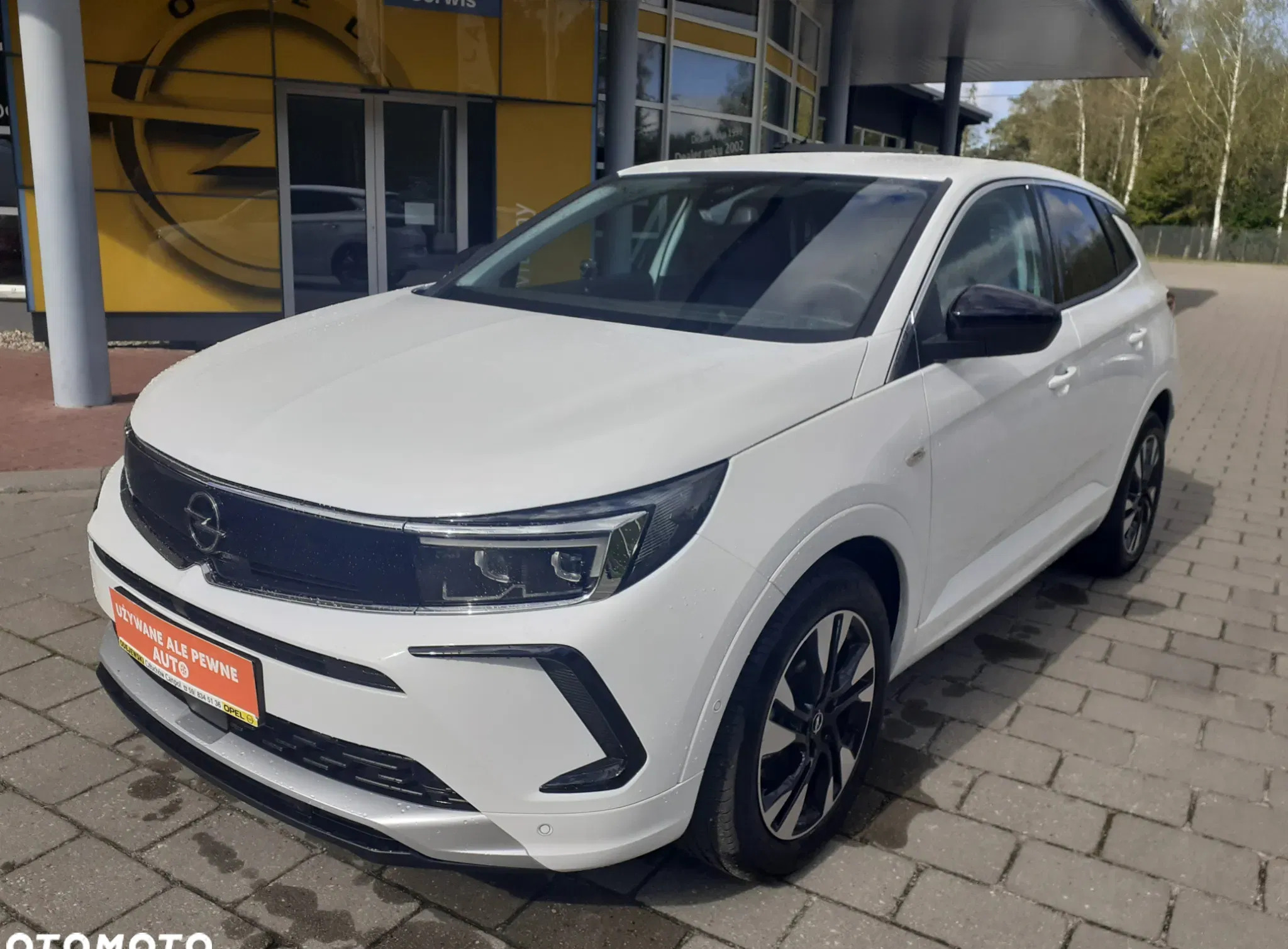 samochody osobowe Opel Grandland cena 119900 przebieg: 7444, rok produkcji 2023 z Pasym